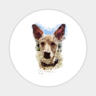 Carolina Dog Magnet